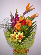 Bird of paradise, snapdragon, gerbera, roses, coffee beans, solidago, shocking lillies, and daisies