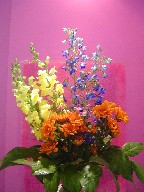 Delphinium, snapdragon, daisies, and waxflowers
