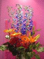 Delphinium, gerbera, lillies, and daisies
