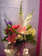 Lillies, iris, snapdragon, gerbera, alstroemeria, and daisies