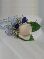 White rose, blue rose petals, and waxflowers