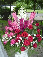 Roses, snapdragon, and baby's breath
