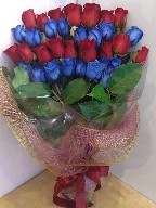 Three (3) dozen red and blue roses