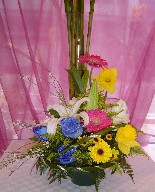 Blue roses, daffodils, gerbera, solidago, genest, yellow daisies, and casablanca