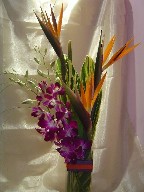 Bird of paradise, dendrobium orchids and green leaves