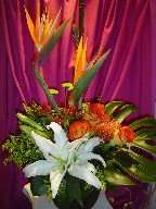 Bird of paradise, lillies, roses, solidago, protea, monstera, coffee beans, and pompoms