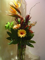 Bird of paradise, gerbera, eucadendron, alstroemeria, waxflowers, fatsia japonica, and curly willow