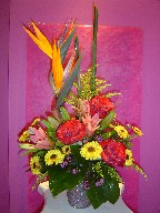 Bird of paradise, lillies, roses, Pinocchio daisies, waxflowers, and solidago