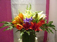 Amaryllis, lillies, iris, snapdragon, calla lillies, alstroemeria, and philodendron