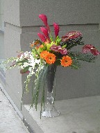 Anthurium, ginger, lillies, roses, gerbera, sago palm, dendrobium and cymbidium orchids, and monkey grass