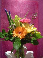 Gerbera, iris, solidago, lillies, and waxflowers