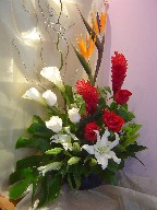 Bird of paradise, ginger,roses, calla lillies, casablanca, pompoms, hypericum, and curly willow