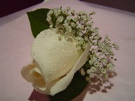 Boutonniere