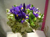 Iris, alstroemeria, and waxflowers