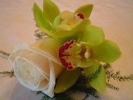 Rose and cymbidium orchids